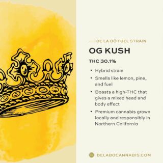 We’ve gotten some new strains for all our pre-rolls — here’s a new flavor from our Fuel Box 👑 Check out all the different strains on delabocannabis.com